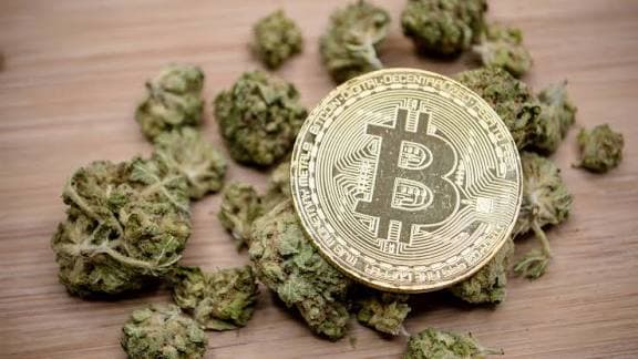 How to Buy Weed Online Using Crypto: A Simple Guide for Beginners